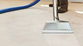 Carpet cleaning wand head gliding over a light carpet during hot-water extraction, Tallahassee, FL.