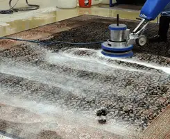 Professional rug cleaning with a rotary floor machine and shampoo foam, deep-cleaning an area rug, in Tallahassee, FL.
