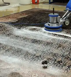 Professional rug cleaning with a rotary floor machine and shampoo foam, deep-cleaning an area rug Tallahassee, FL.